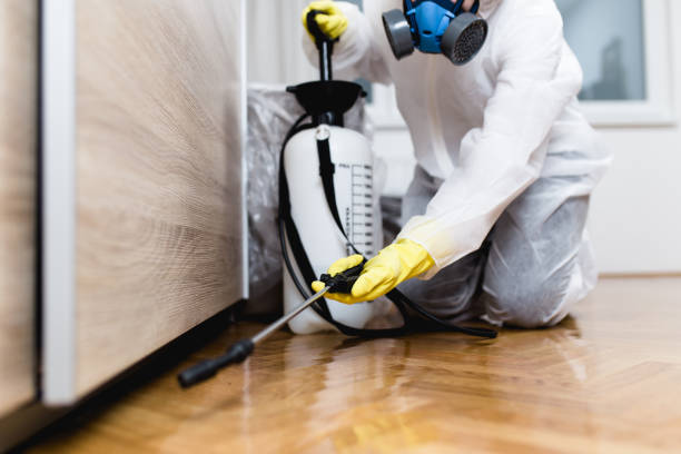 Best Pest Prevention Services  in Augusta, AR