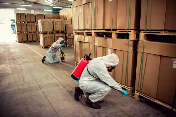 Best Mosquito Control Services  in Augusta, AR