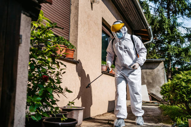Best Termite Control Services  in Augusta, AR