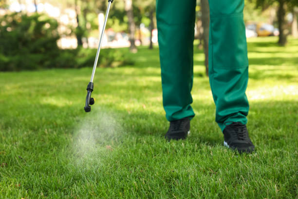 Wasp Removal Services in Augusta, AR
