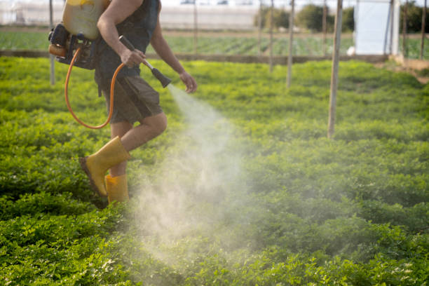 Best Commercial Pest Control Services  in Augusta, AR