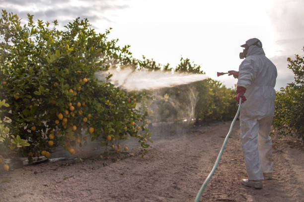 Best Insect Control  in Augusta, AR