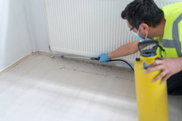 Best Wasp Removal Services  in Augusta, AR